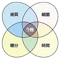 歯科口腔外科